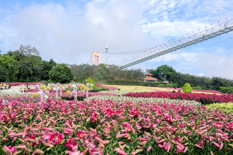 Trang Viên Mạn Hoa - Thế Giới Hoa Giữa Lòng Thành Đô